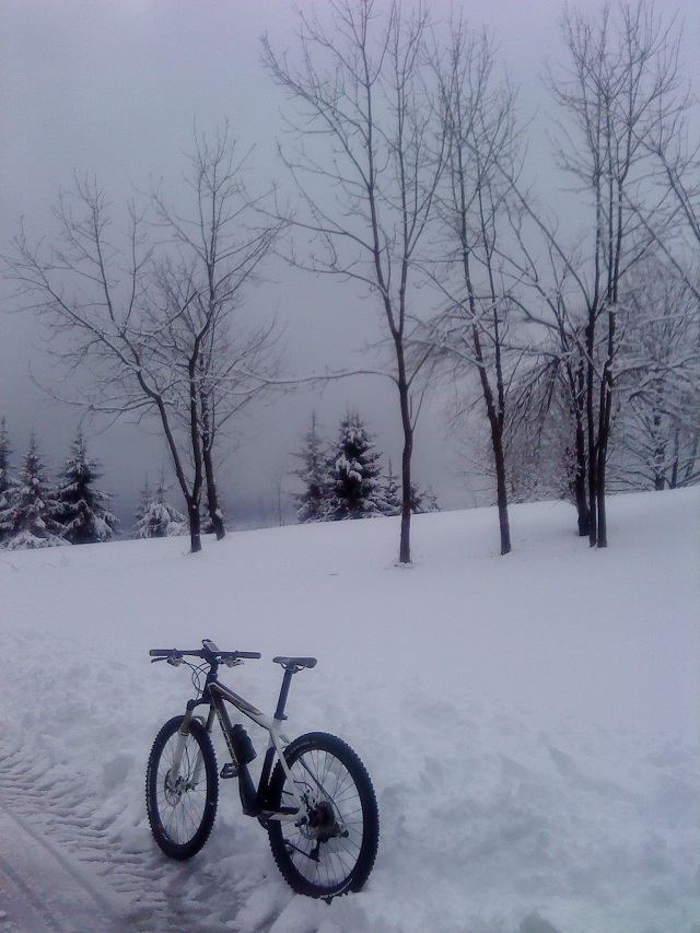 MTB